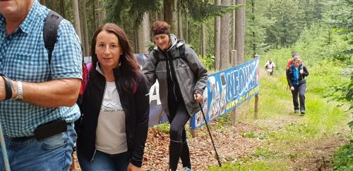 2018 234 20180701 1776525006